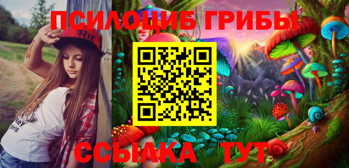 Псилоцибиновые грибы GOLDEN TEACHER Южно-Сахалинск